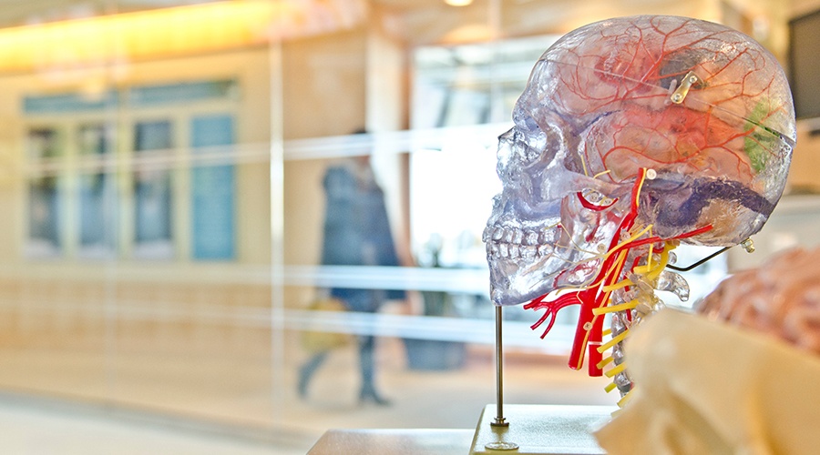 Traumatic Brain Injury Recovery- How to Heal Traumatic Brain Injury Recovery- How to Heal